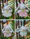 The ear-hanging rabbit plush keychain doll, keychain pendant, is a cute and small simulation doll that can be hung on the schoolbag Application Scenario